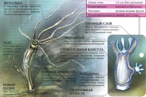 Кракен ссылка германия