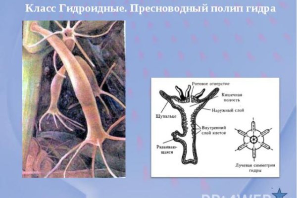 Kraken купить клад