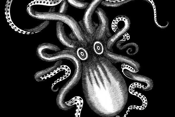 Kraken даркнет gigageek ru