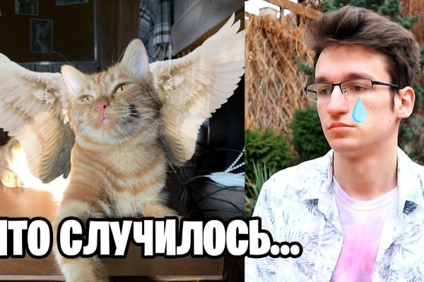 Кракен актуальная ссылка тор