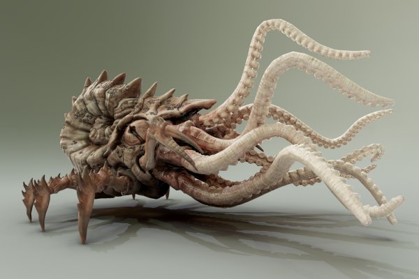 Kraken 2fa