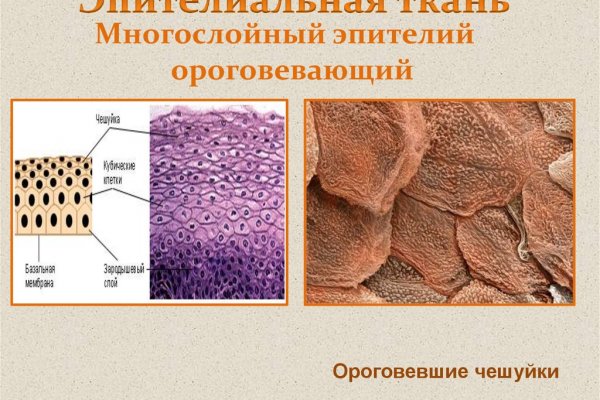 Почему кракен перестал работать